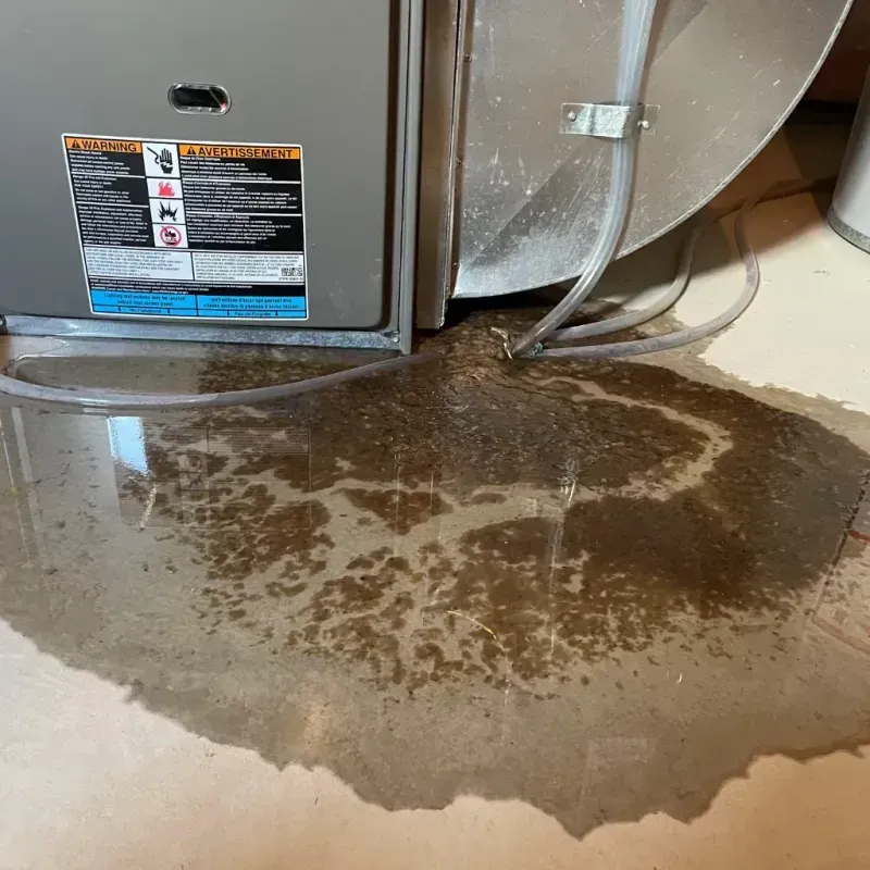 Appliance Leak Cleanup in Drew, MS